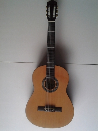 Đàn guitar 390N Floda