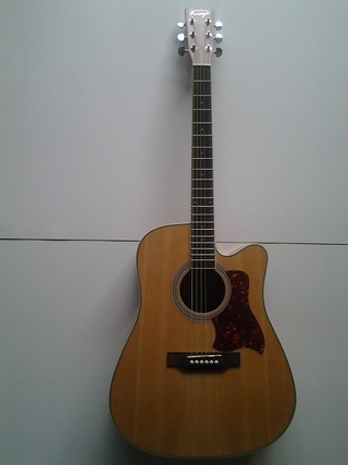 Đàn guitar Fineya M10CN