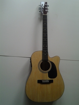 Đàn guitar EQ F113