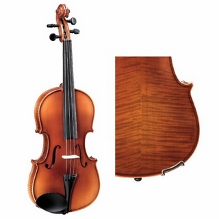 Pearl River Violin V018